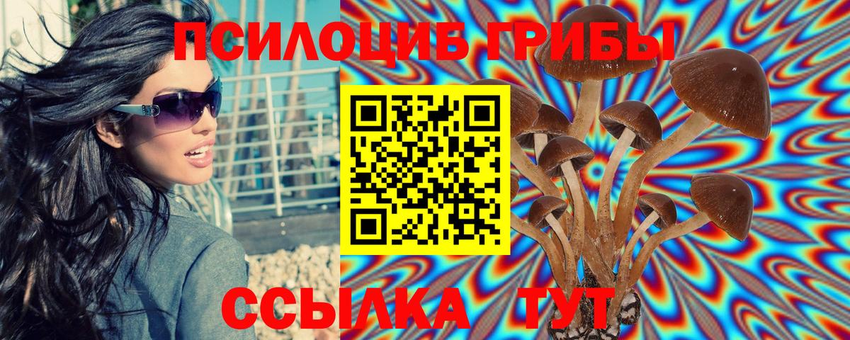Галлюциногенные грибы мухоморы  Псилоцибиновые грибы мицелий  Вход с VPN  Борзя 